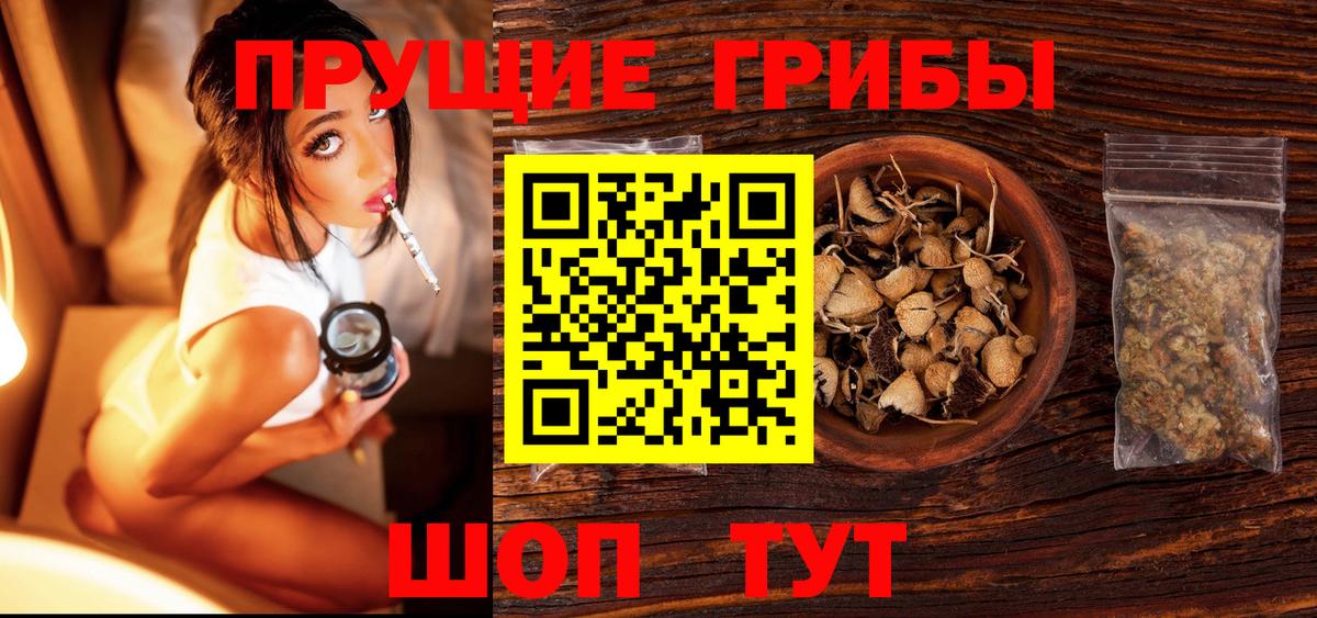 Красноярск  Галлюциногенные грибы прущие грибы  Вход с VPN 